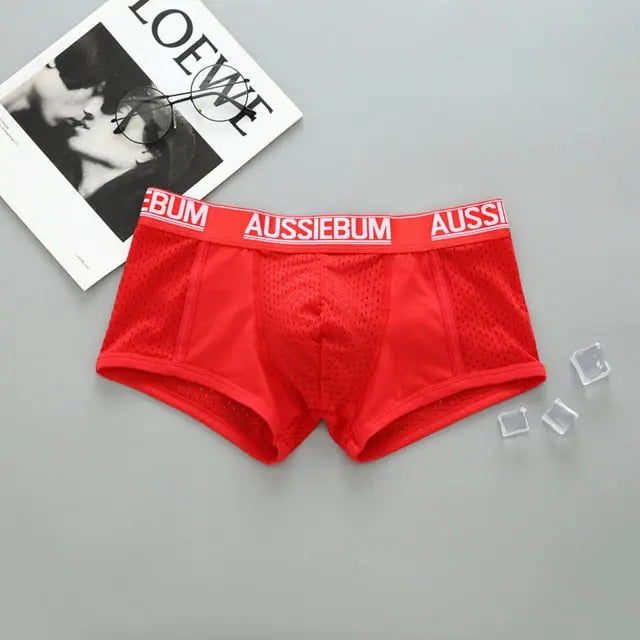 Aussie Mesh Trunk The Locker Room Jock