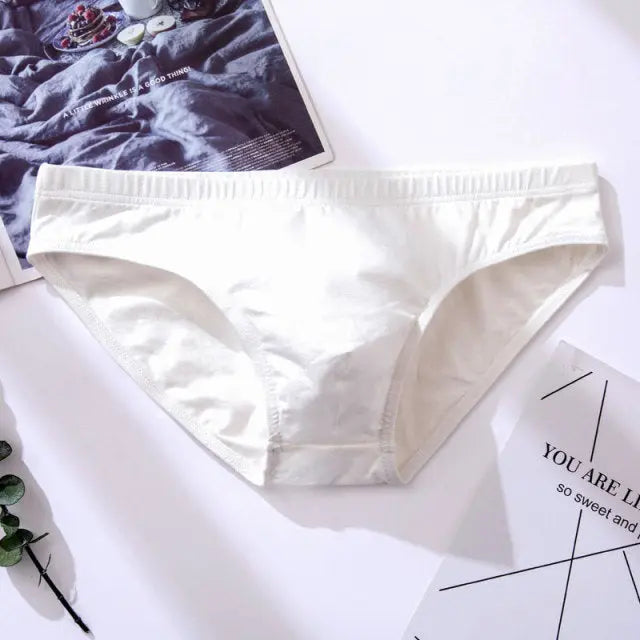 Basic Winter Briefs Harko