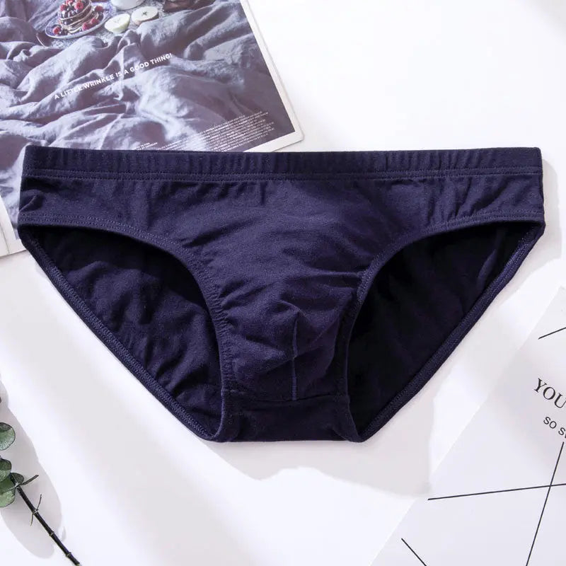 Basic Winter Briefs Harko