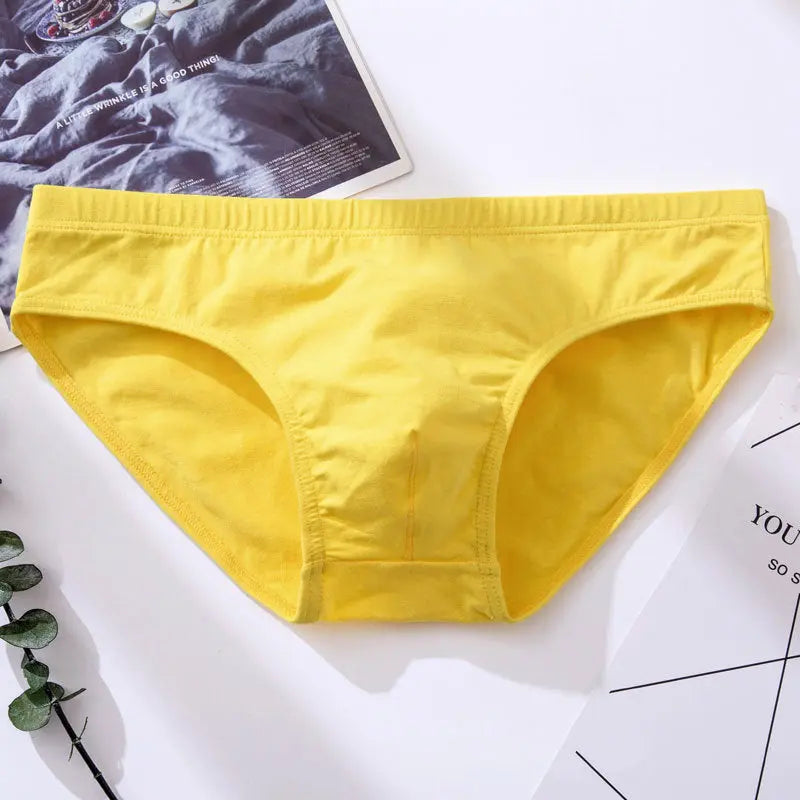 Basic Winter Briefs Harko