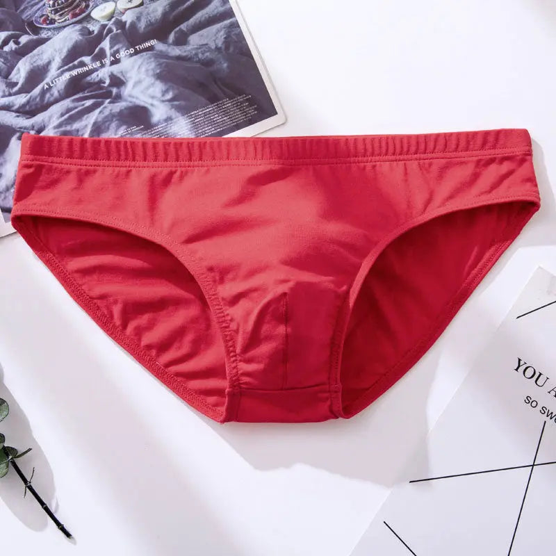 Basic Winter Briefs Harko