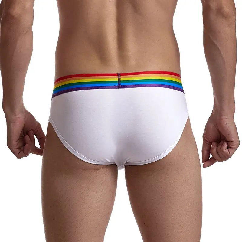 Jockmail Rainbow Briefs Jockmail