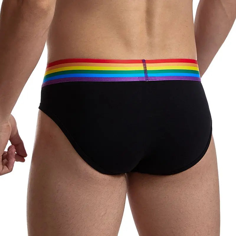 Jockmail Rainbow Briefs Jockmail