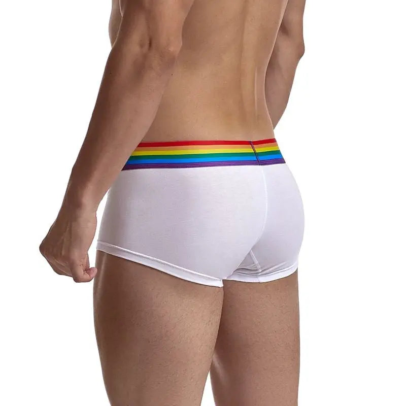 Jockmail Rainbow Trunks Jockmail