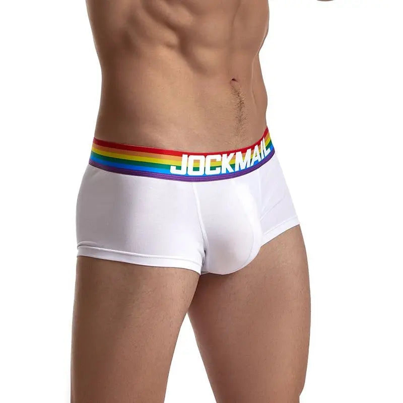 Jockmail Rainbow Trunks Jockmail