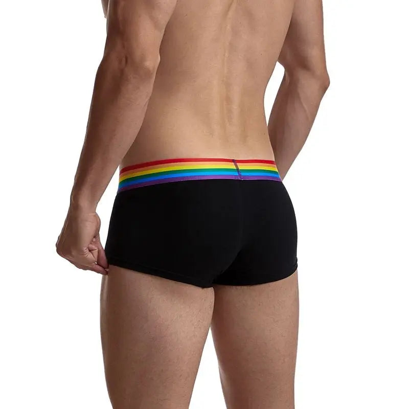 Jockmail Rainbow Trunks Jockmail