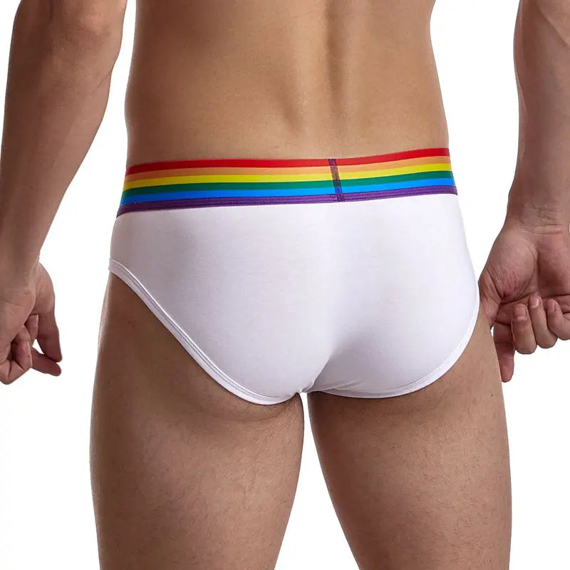 Jockmail Rainbow Briefs Jockmail
